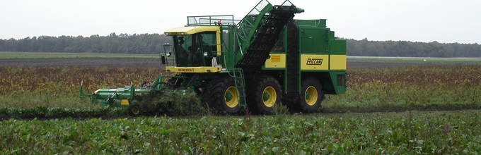 Bieten rooien